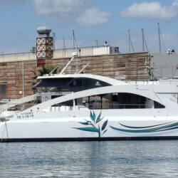 Catamaran Cala San Vicente Barcelona 10