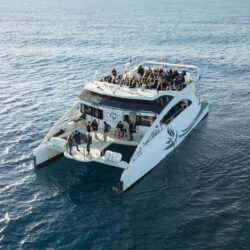 Catamaran Cala San Vicente Barcelona 17