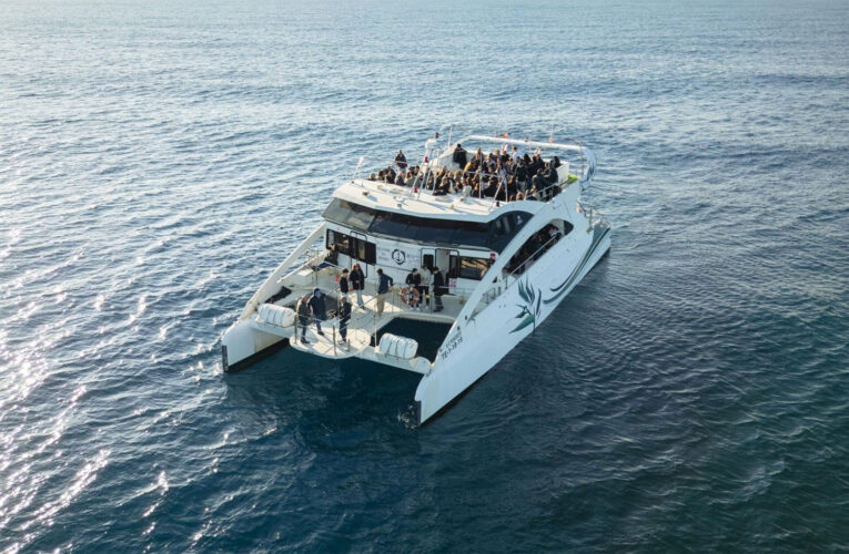 Catamaran Cala San Vicente Barcelona 17
