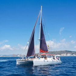 Catamaran Voyage 450 DC Barcelona 27