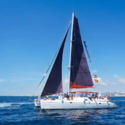 Catamaran Voyage 450 DC Barcelona 30
