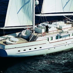 Mata Mua Barcelona 1