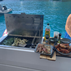 Fountaine Pajot Elba 45 Barcelona 6