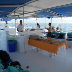 Fountaine Pajot Taiti 80 Barcelona 5