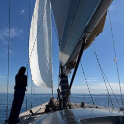 Sailboat Maxi Dolphin 65 Barcelona 35