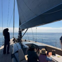 Sailboat Maxi Dolphin 65 Barcelona 39