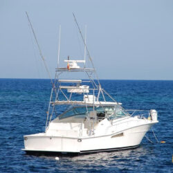 Yacht Viking 43 Barcelona 8