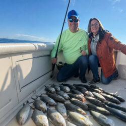 barco de pesca Faeton Moraga 910 Barcelona 19