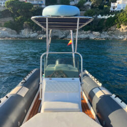 Motorboat Tiger Marine 650 Barcelona 10