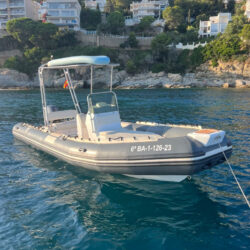 Motorboat Tiger Marine 650 Barcelona 3