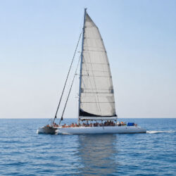 Catamaran CAT 125 Blanes 12