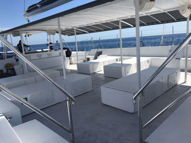Catamaran CAT 97 Barcelona 8