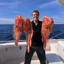 fishing boat Faeton Moraga 910 Barcelona 13